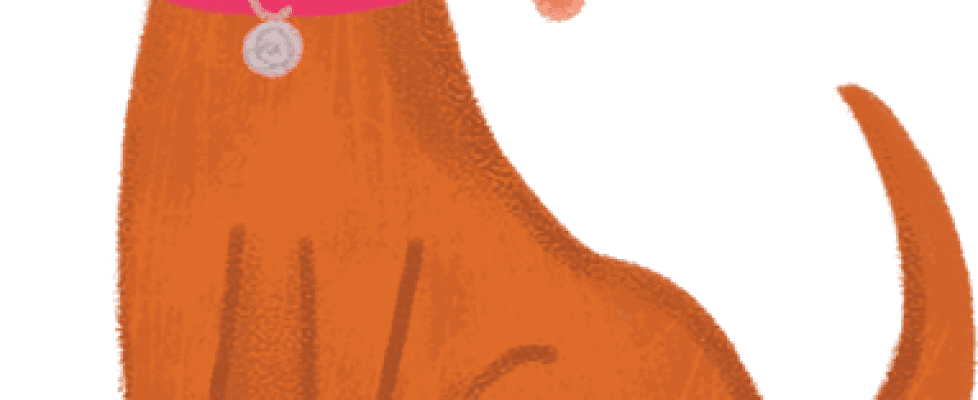 Illustration: Dog