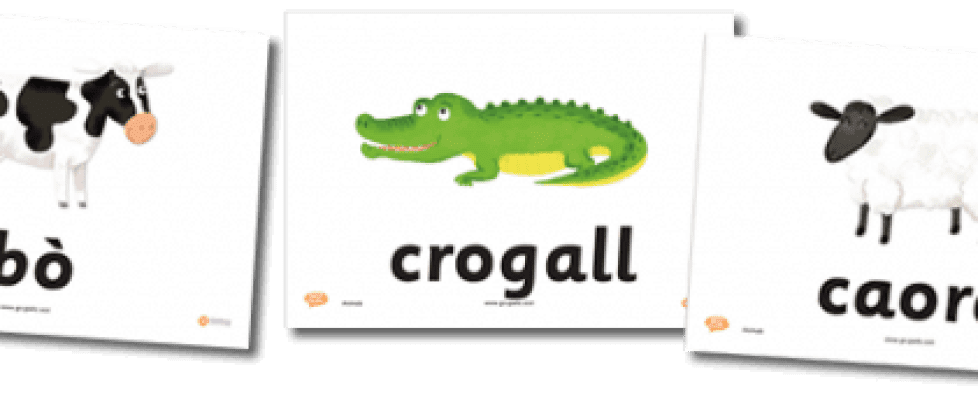 Animal Flashcards in Gaelic