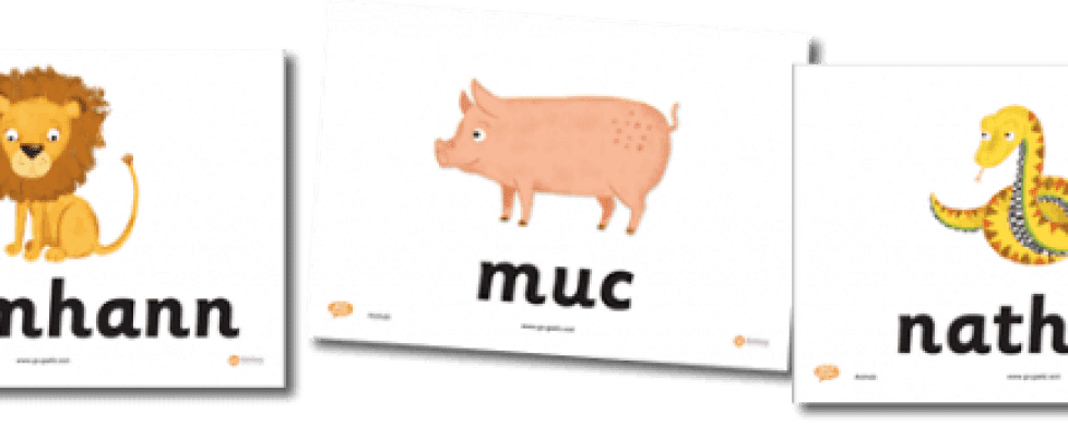 Animal Flashcards in Gaelic