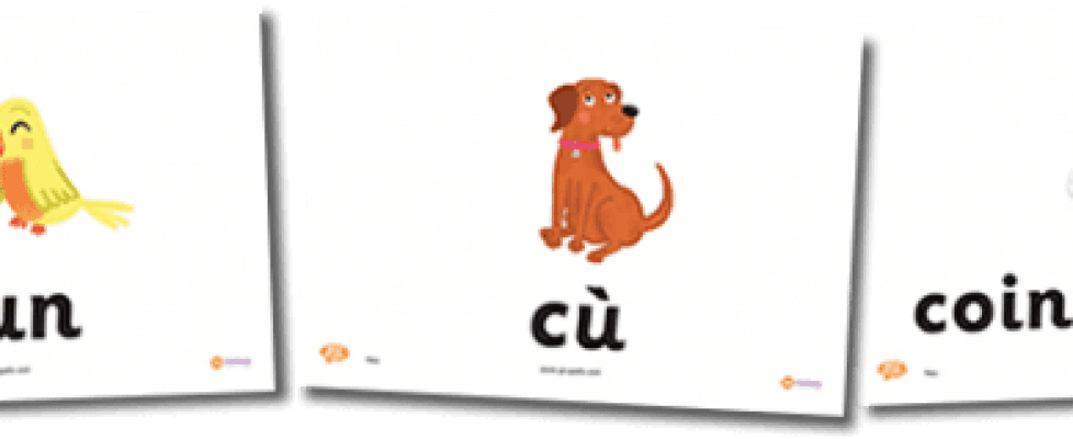 Pets Flashcards