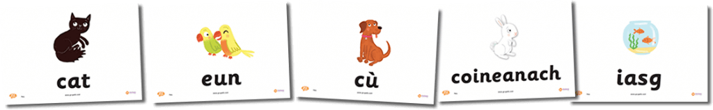 Pets Flashcards