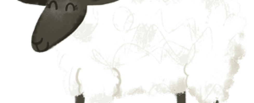 Illustration: Sheep