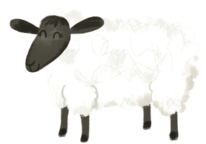 Illustration: Sheep